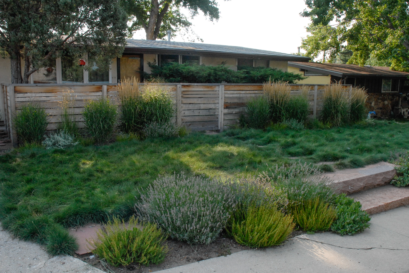 Contemporary Xeriscape